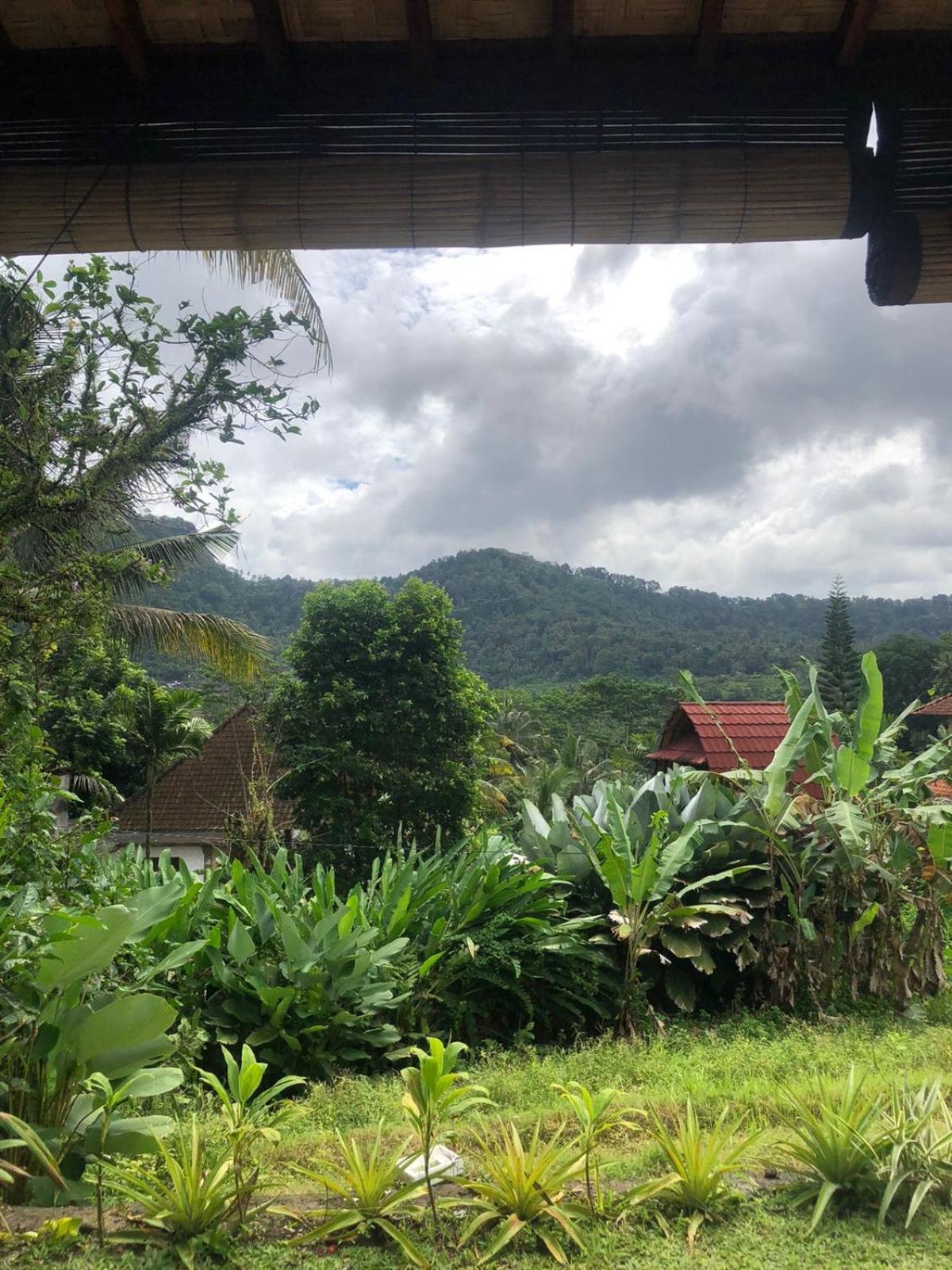 D'Janu Homestay Sidemen  Luaran gambar