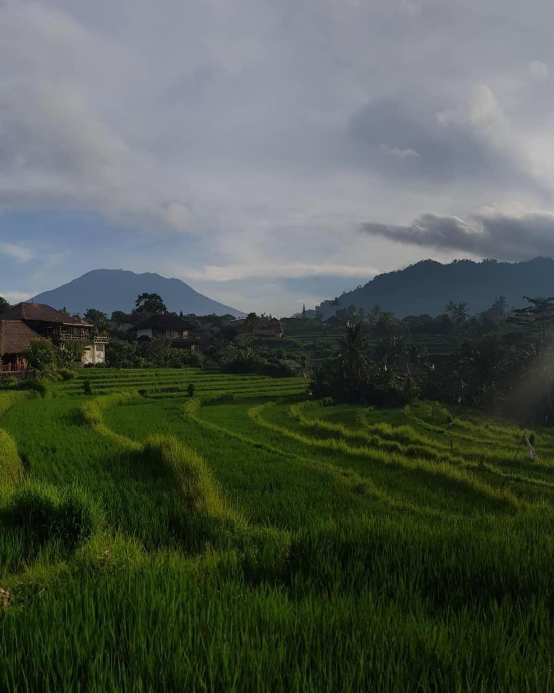D'Janu Homestay Sidemen  Luaran gambar