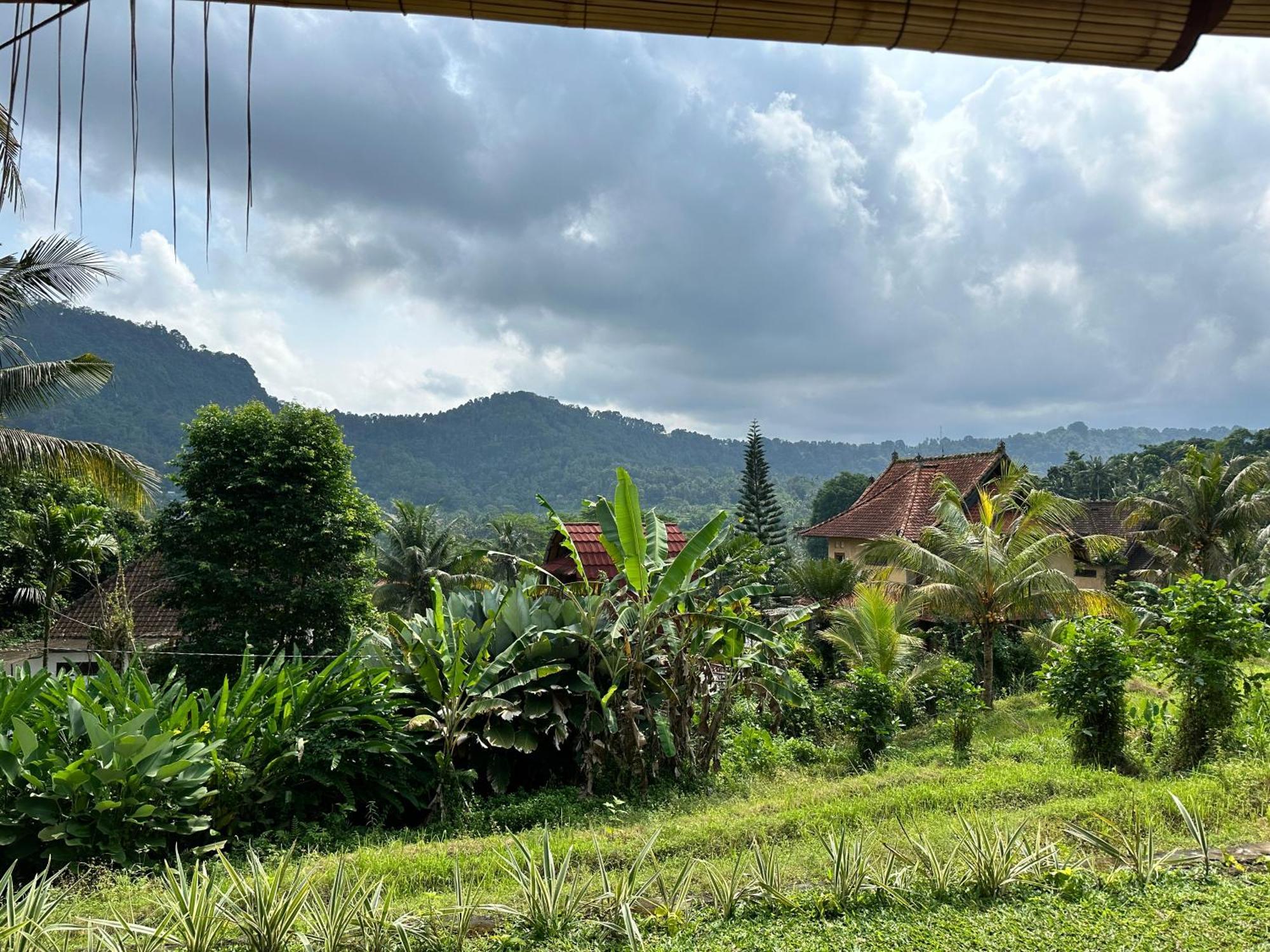 D'Janu Homestay Sidemen  Luaran gambar