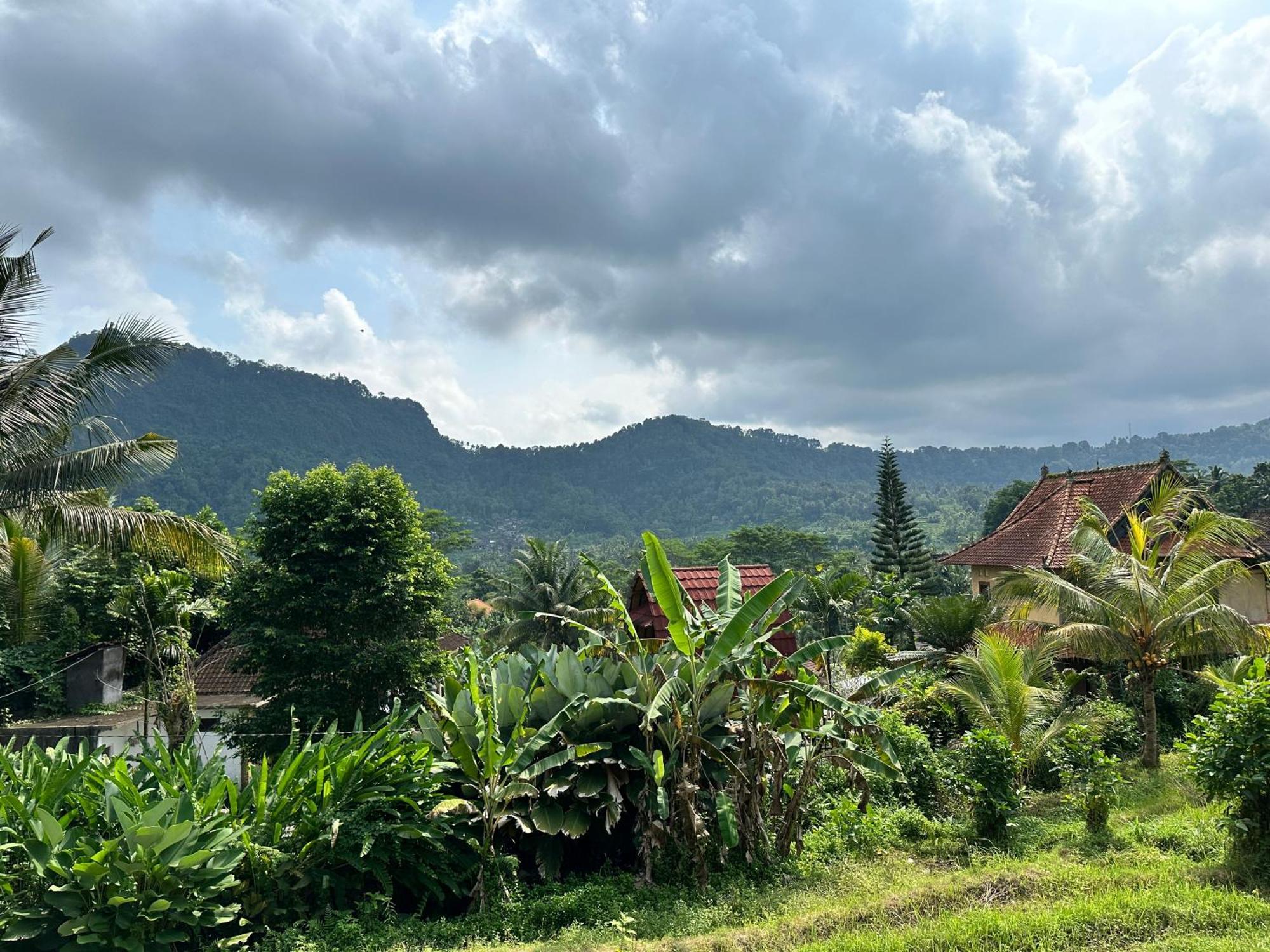 D'Janu Homestay Sidemen  Luaran gambar